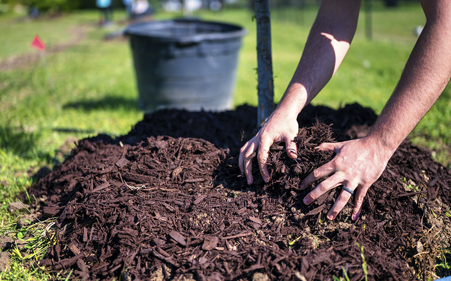 Mulching, Fertilizing, Stones.